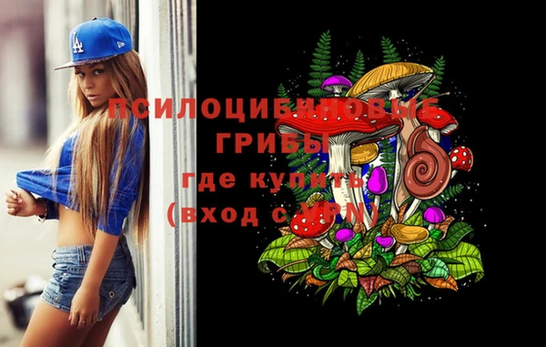 мдпв Наволоки