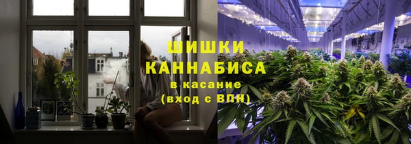 мдпв Надым