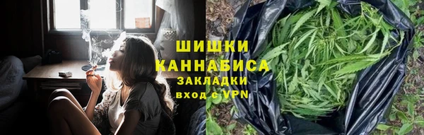 мдпв Надым