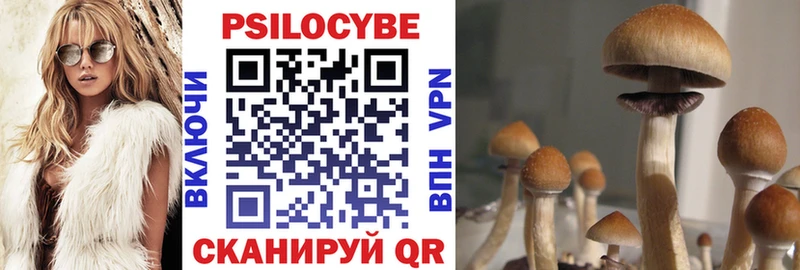 Галлюциногенные грибы прущие грибы  как найти наркотики  Волгодонск 